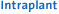 Intraplant ANA.NOVA® MII Hals Intraplant ANA.NOVA® MII Hals